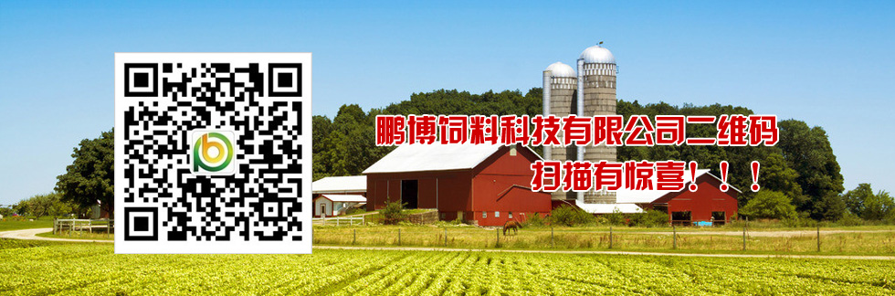 鵬博二維碼，掃描有驚喜！